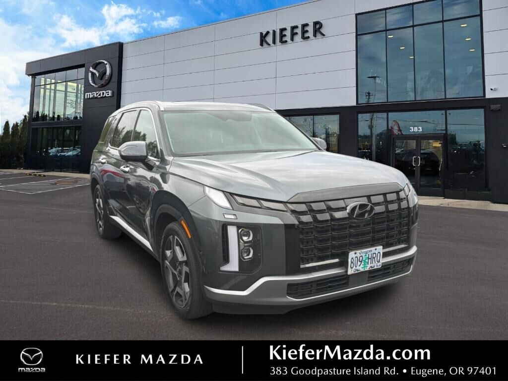2024 HYUNDAI Palisade