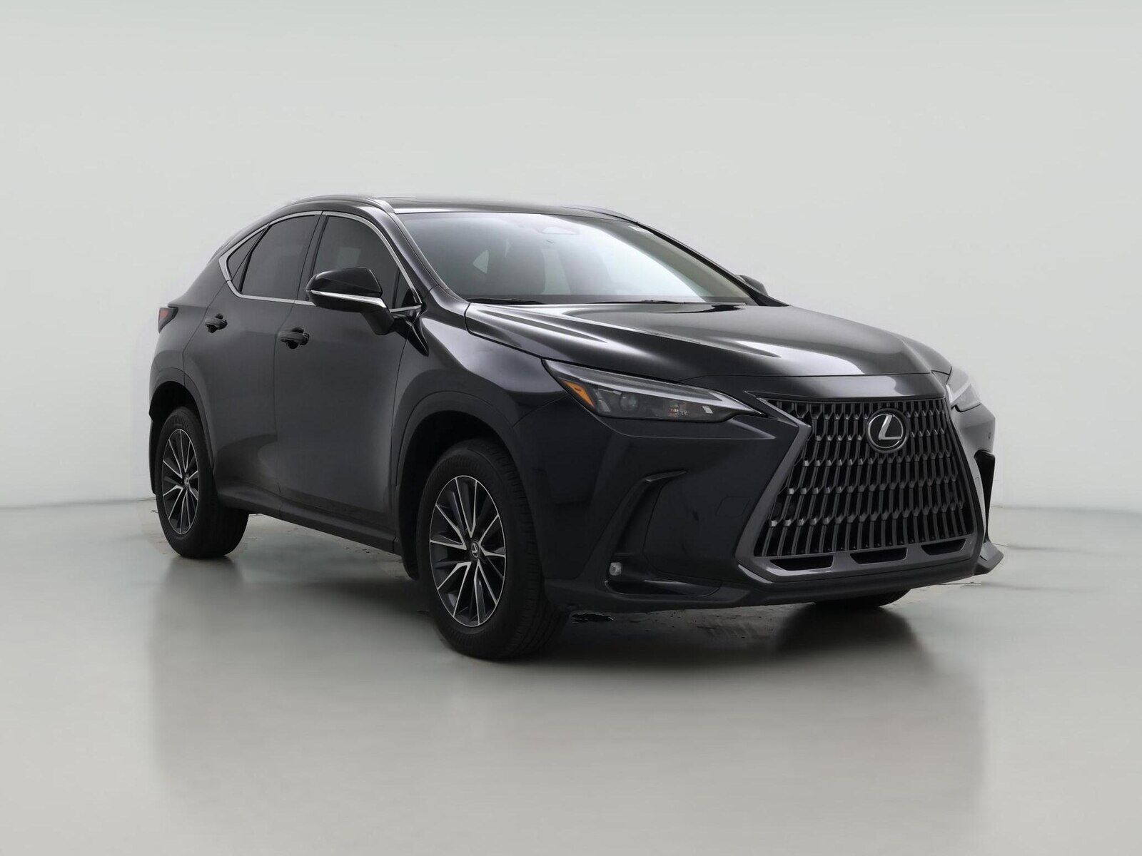 2024 LEXUS NX