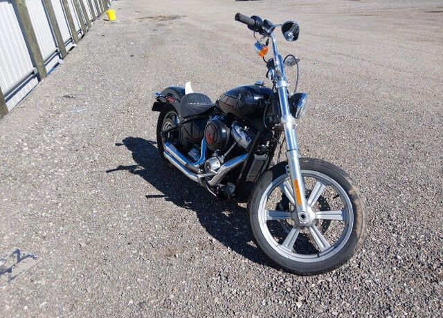2023 HARLEY DAVIDSON Softail Standard