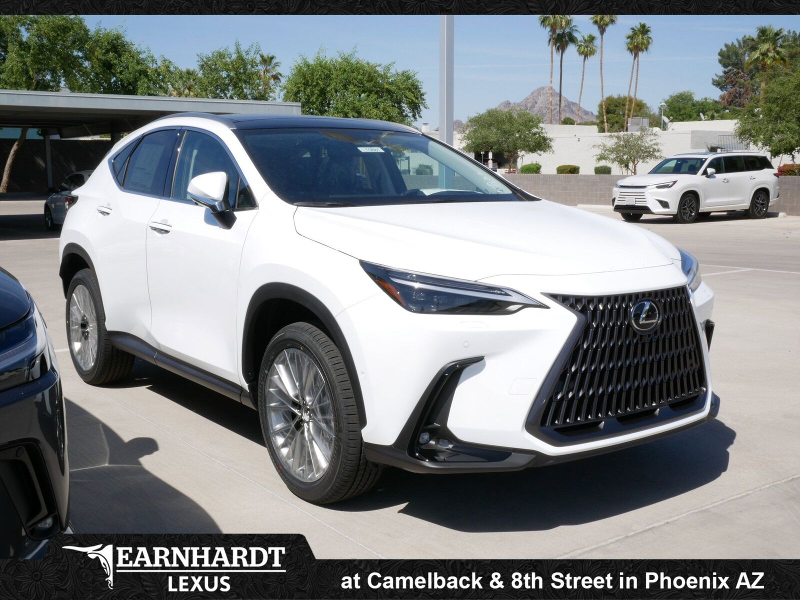2026 LEXUS NX