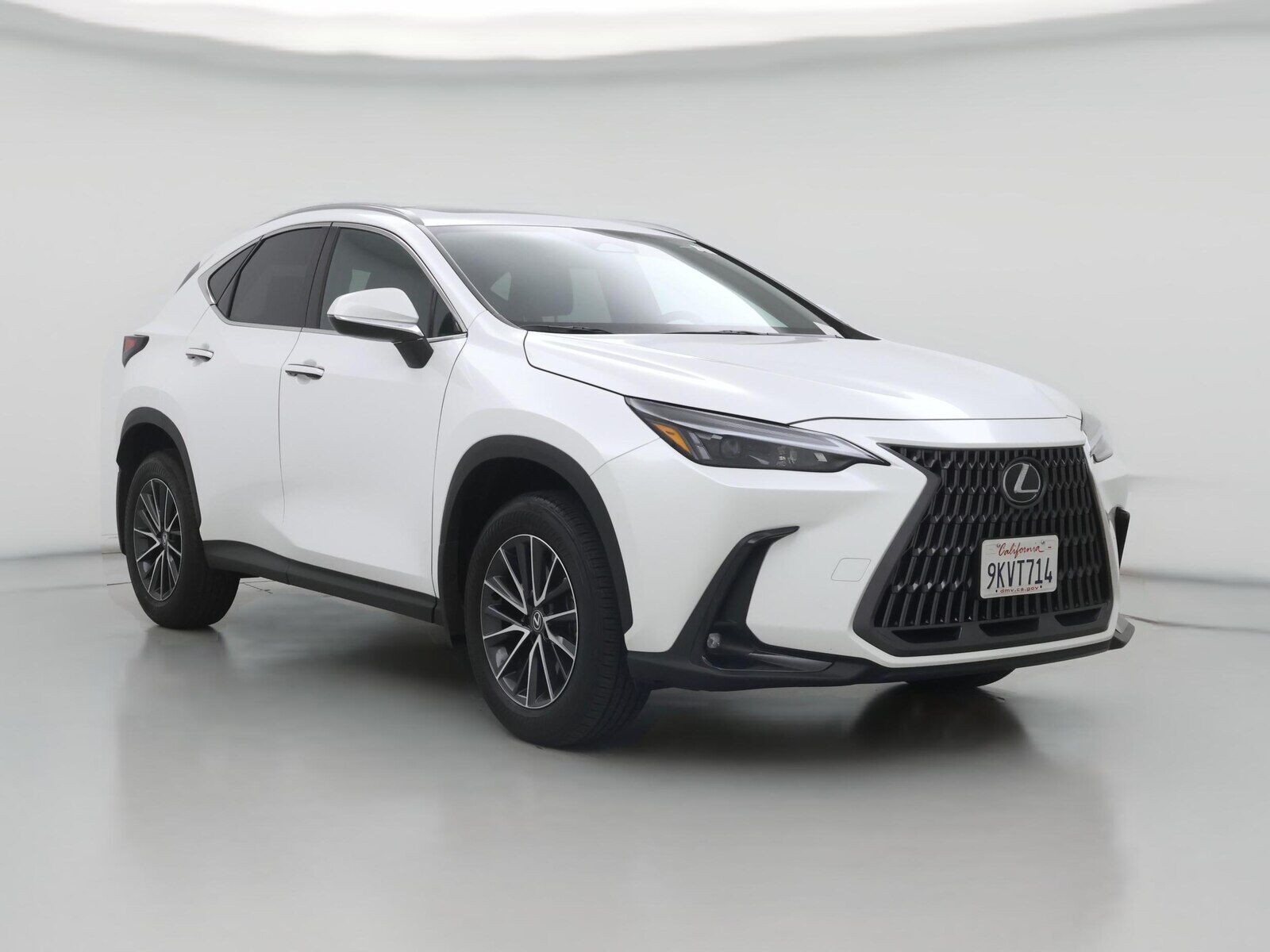 2024 LEXUS NX