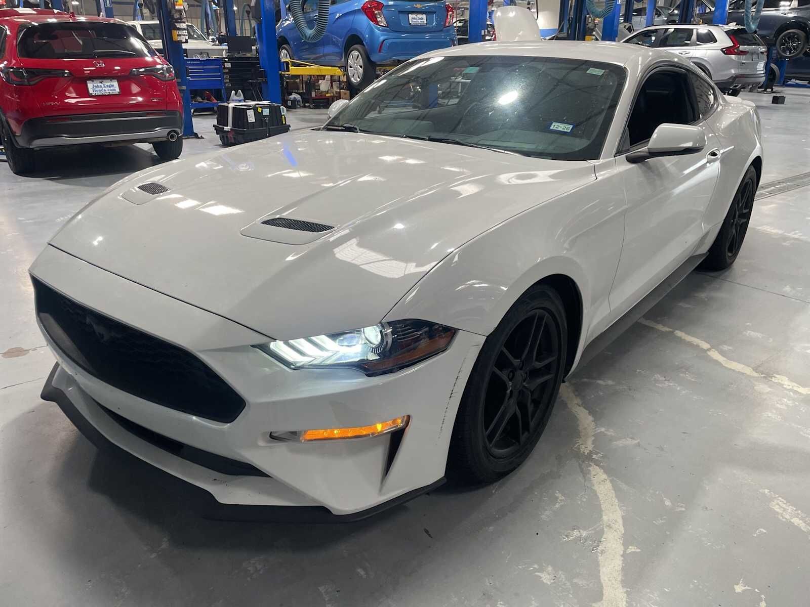2019 FORD Mustang