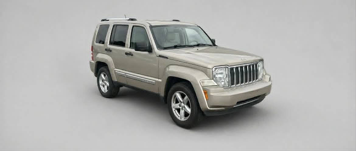 2010 JEEP Liberty