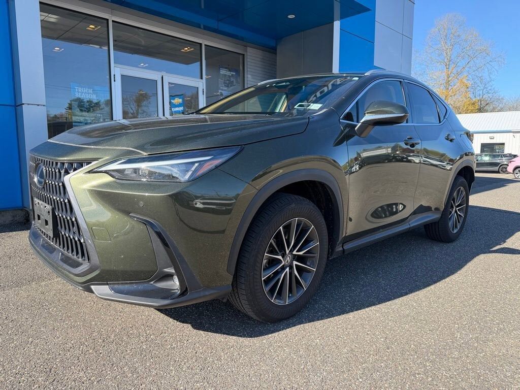 2024 LEXUS NX