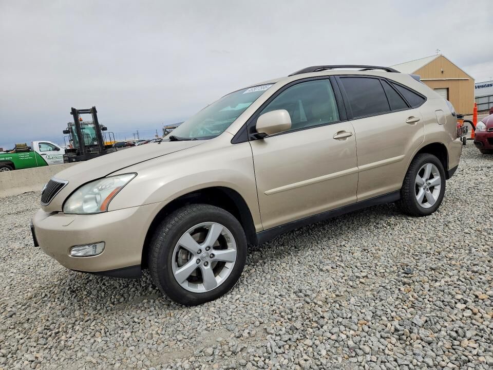 2007 LEXUS RX