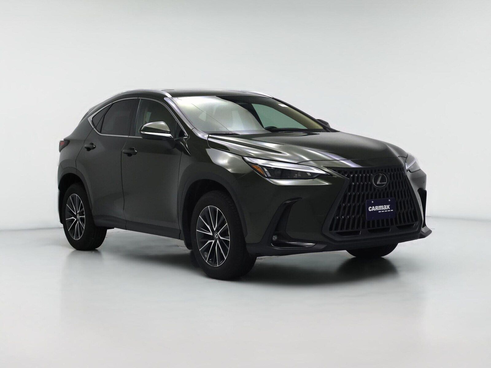 2025 LEXUS NX