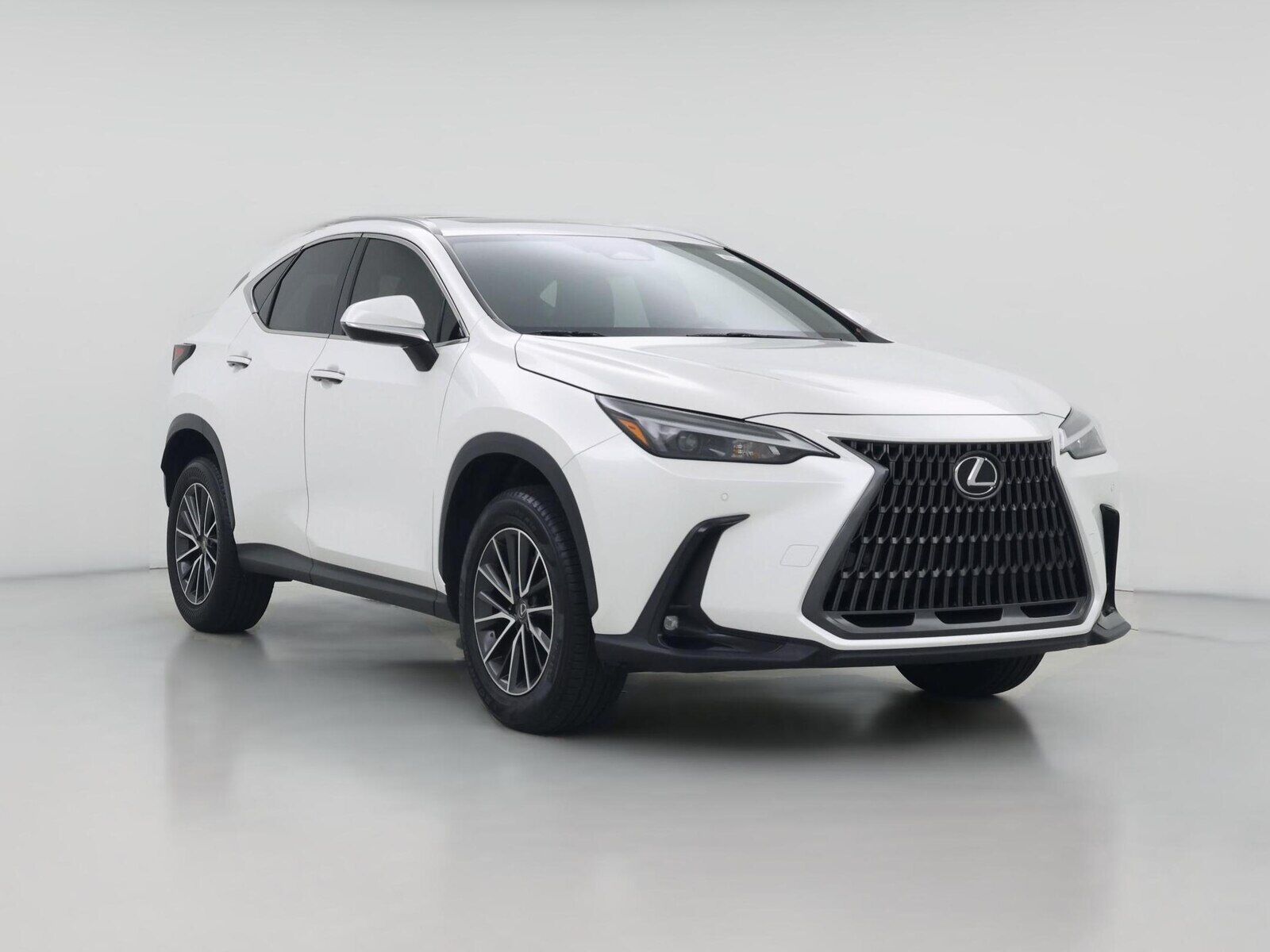2024 LEXUS NX