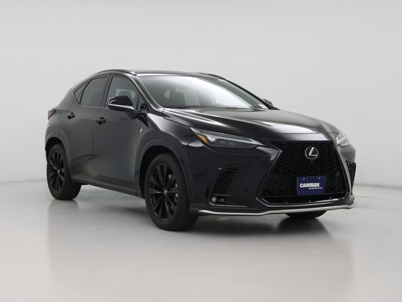 2025 LEXUS NX