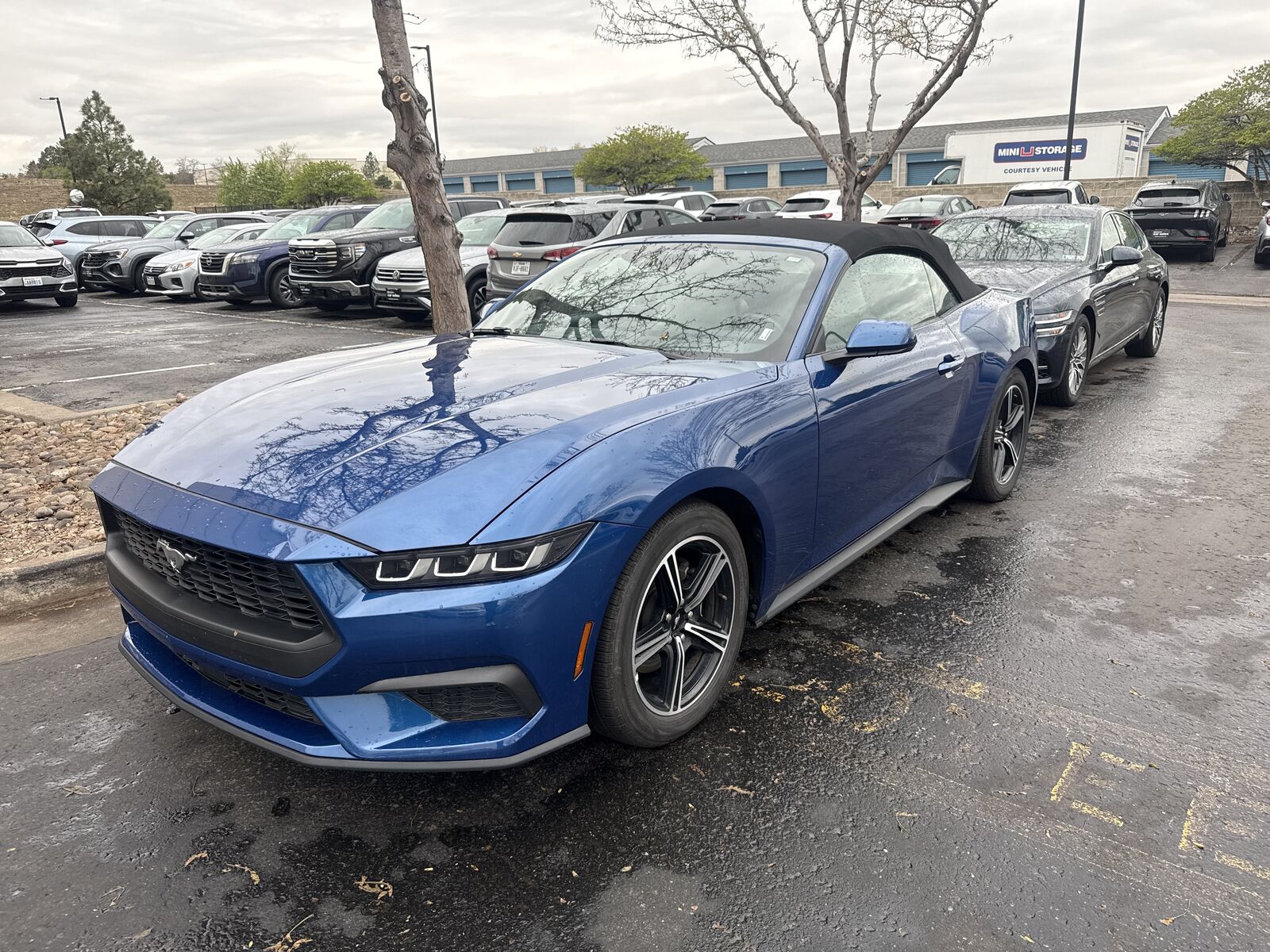 2024 FORD Mustang
