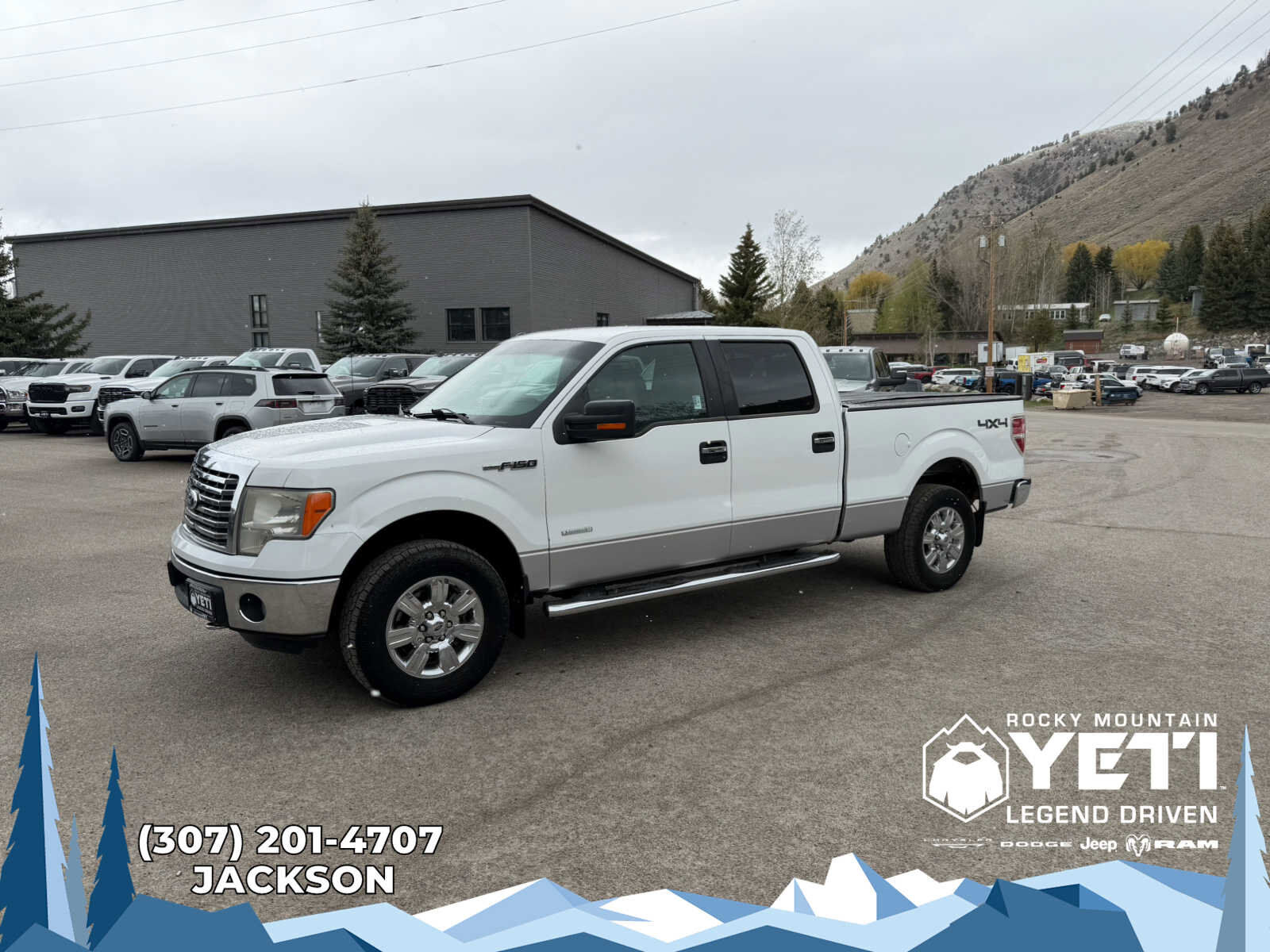 2011 FORD F-150