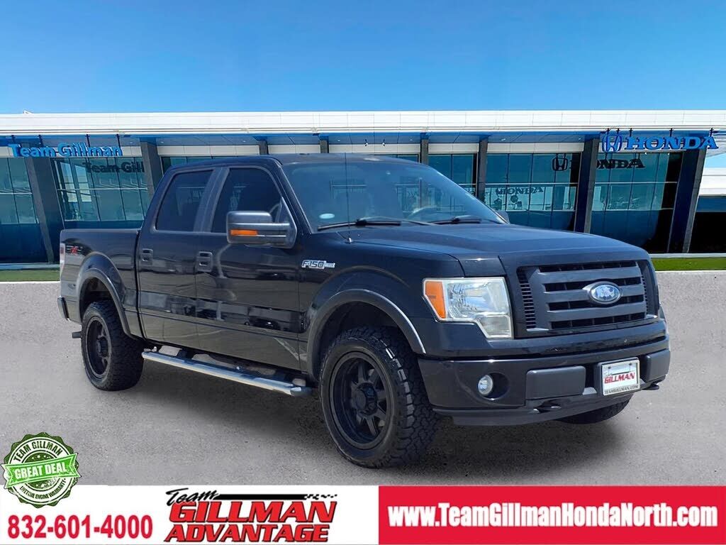 2009 FORD F-150