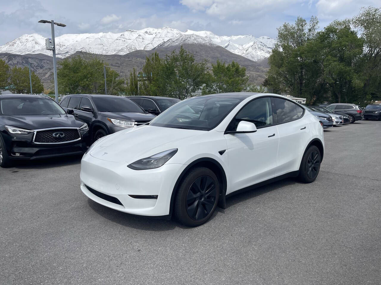 2024 TESLA Model Y