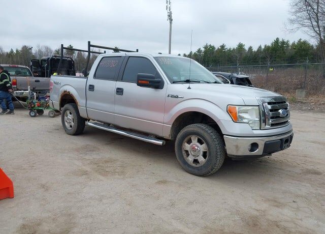 2010 FORD F-150