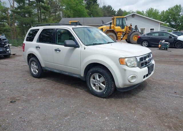 2010 FORD Escape