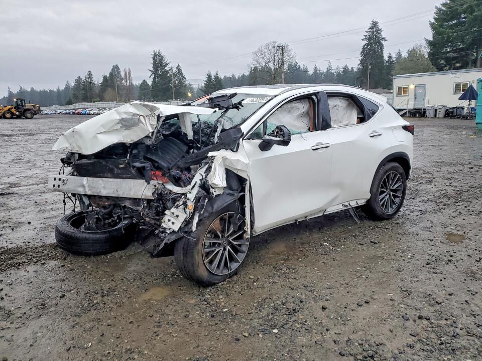 2024 LEXUS NX