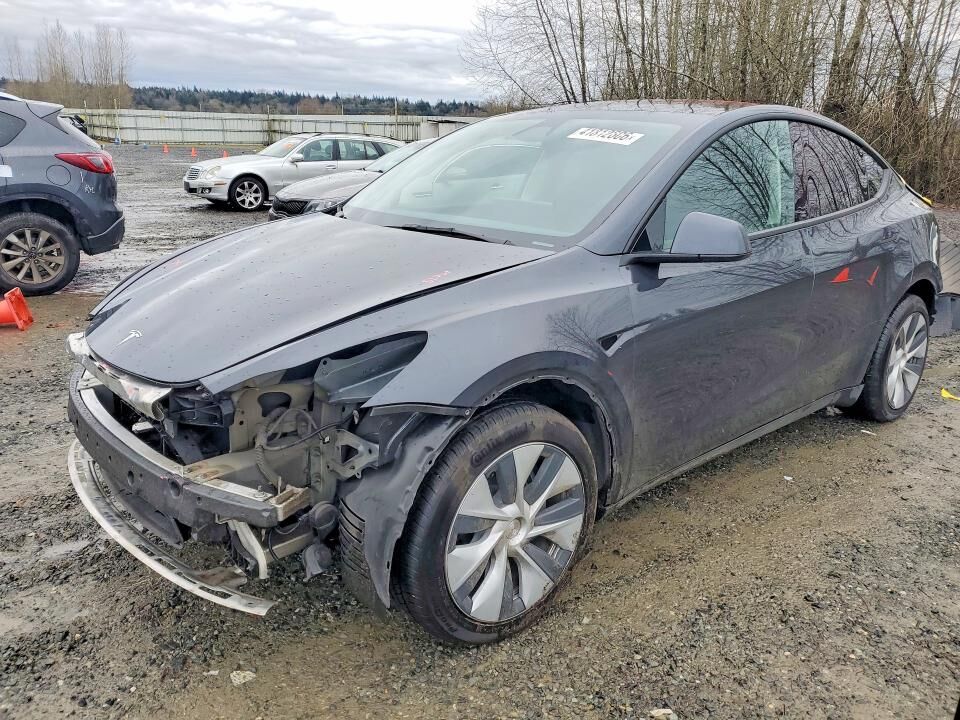 2024 TESLA Model Y