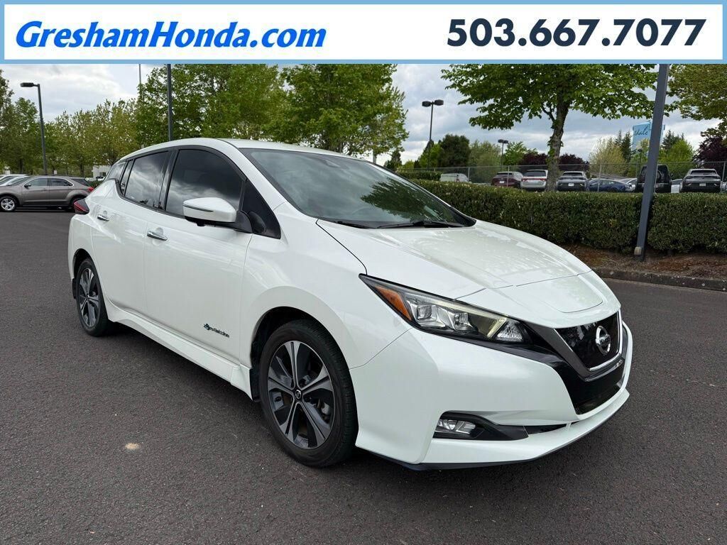 2019 NISSAN Leaf