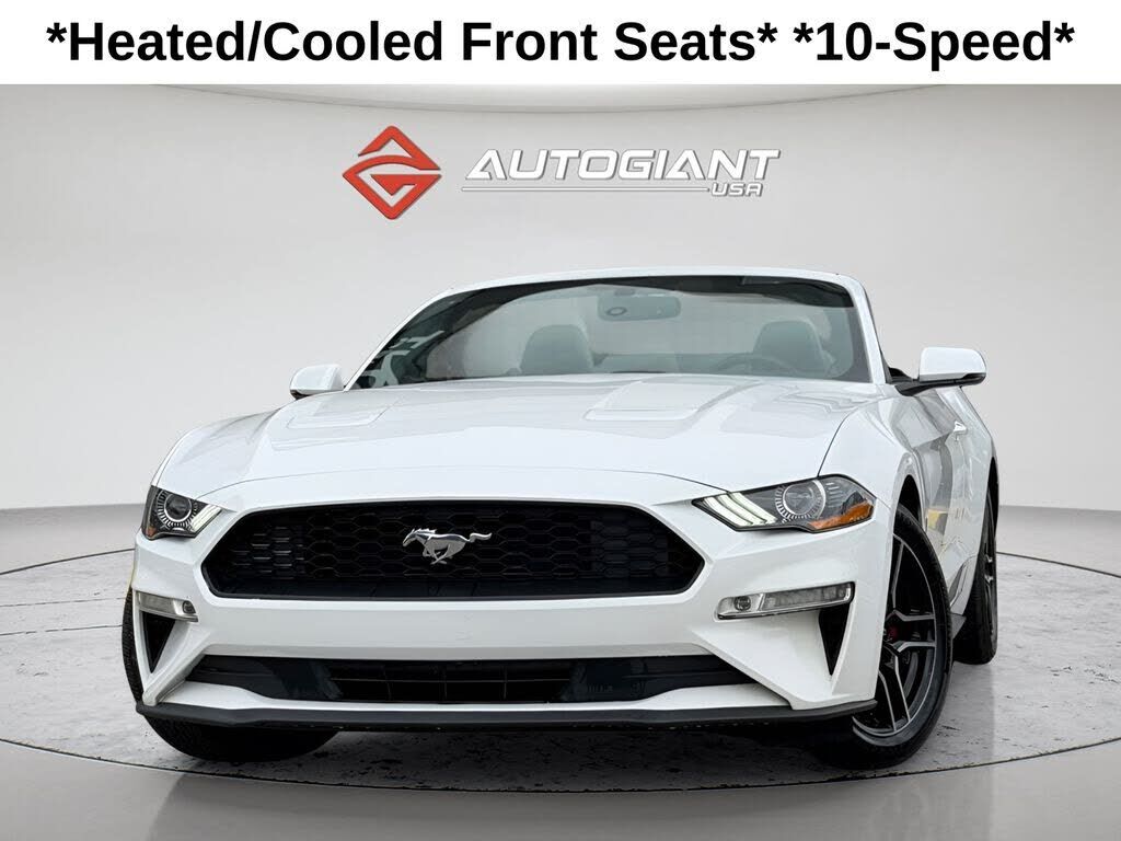 2019 FORD Mustang