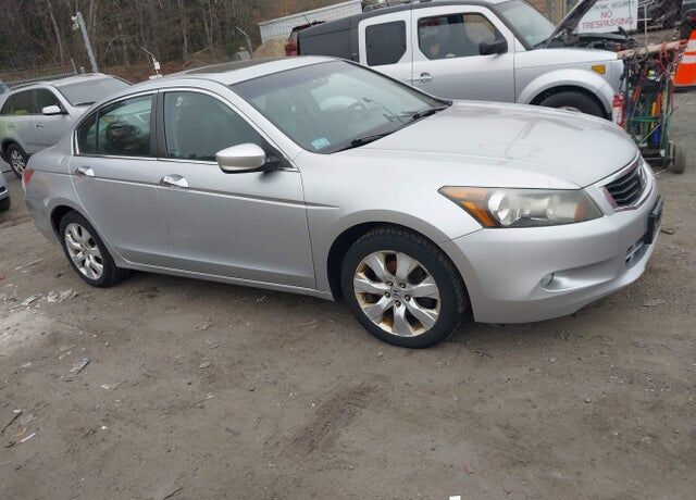 2010 HONDA Accord