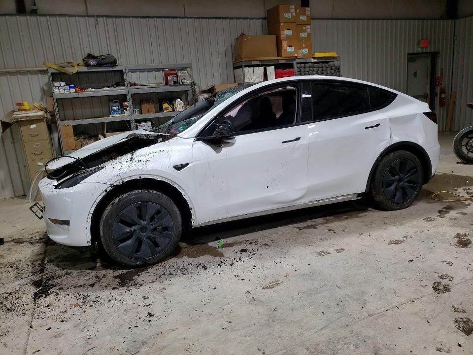 2024 TESLA Model Y