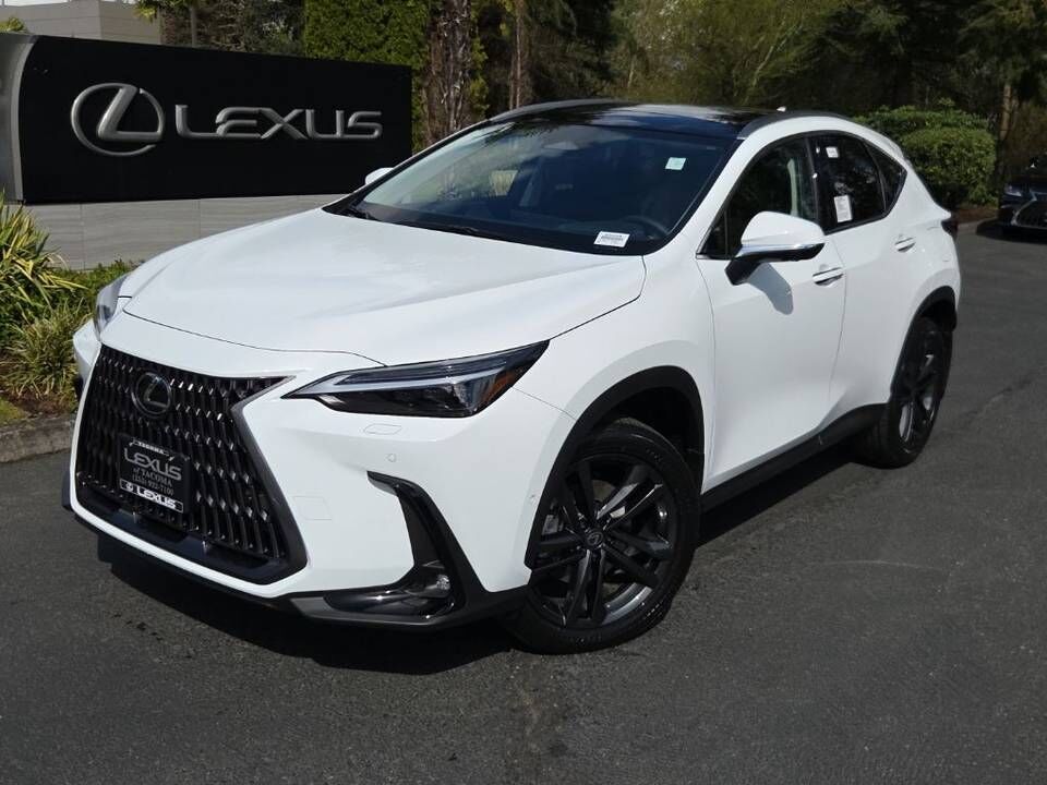 2026 LEXUS NX