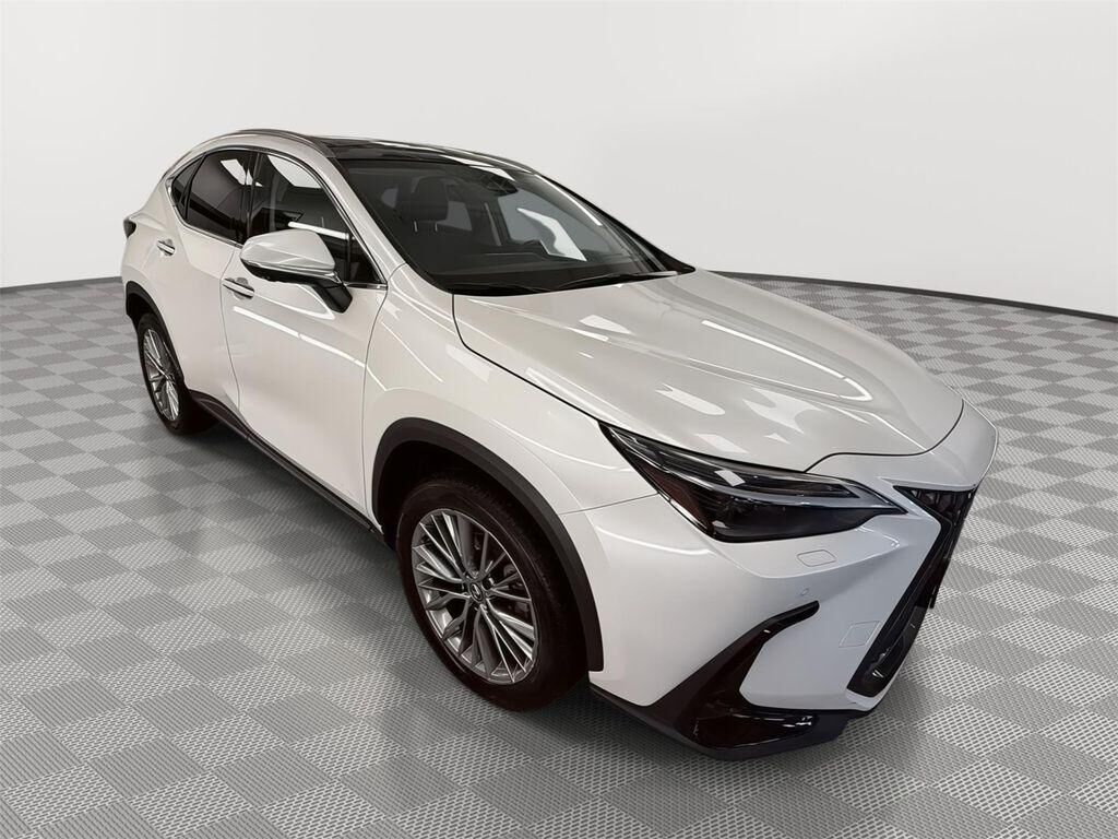 2024 LEXUS NX