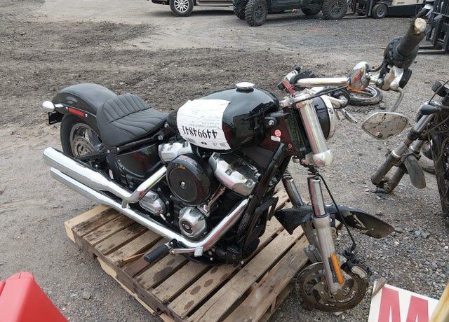 2024 HARLEY DAVIDSON Softail Standard