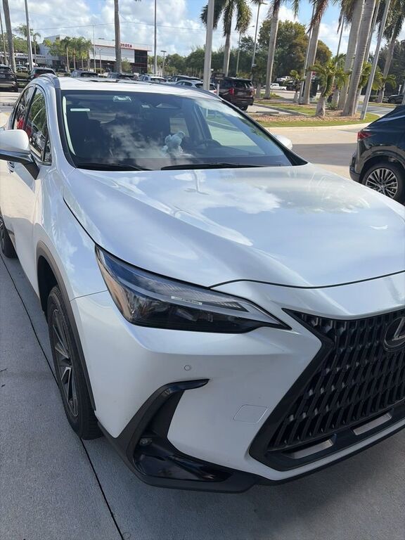 2024 LEXUS NX