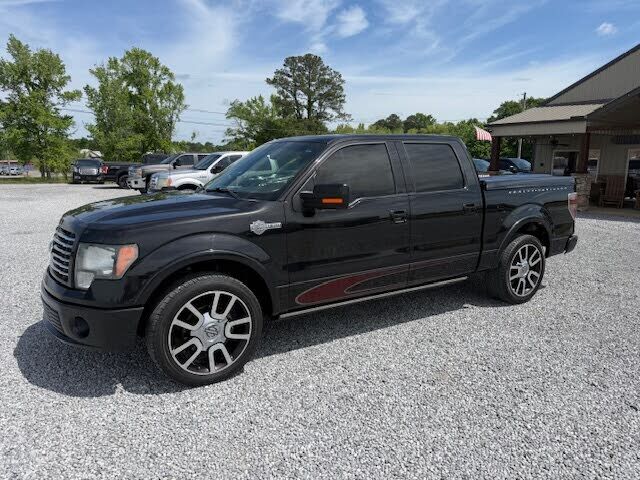2010 FORD F-150