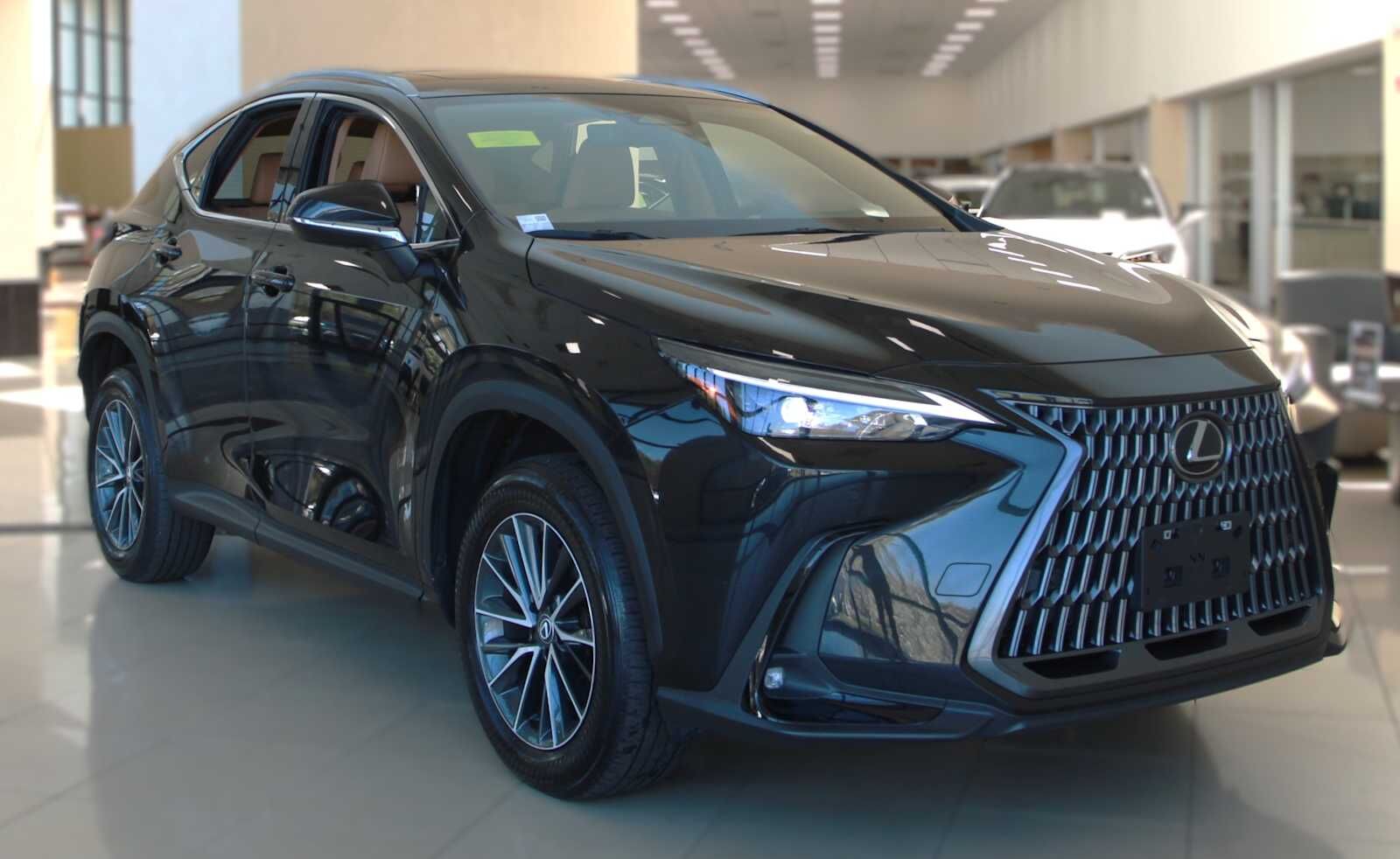 2024 LEXUS NX