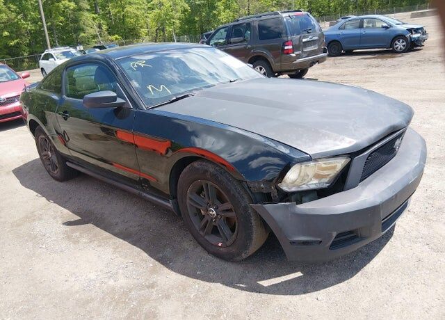 2010 FORD Mustang