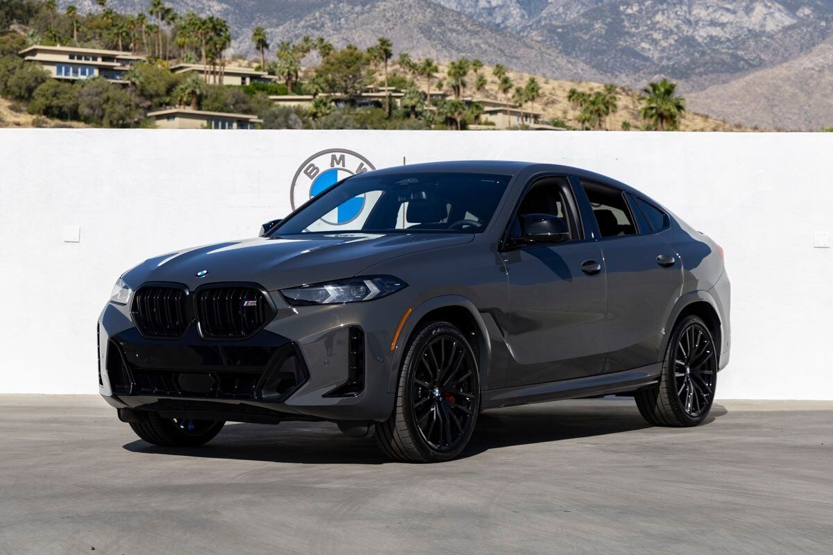 2026 BMW X6