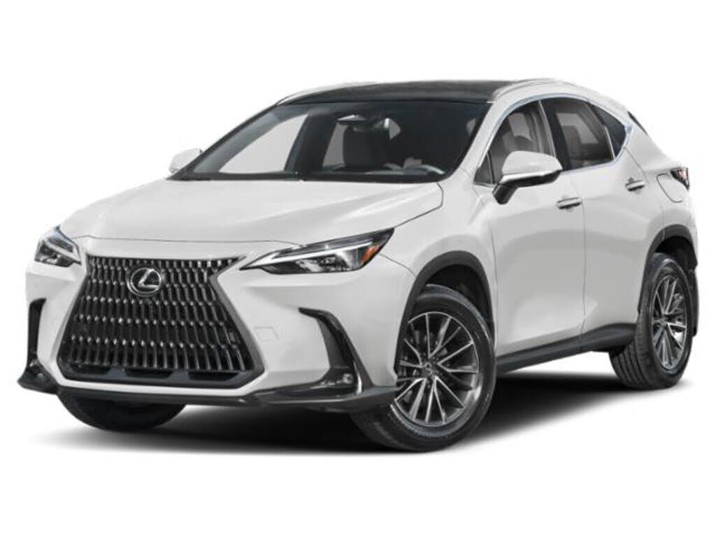 2024 LEXUS NX