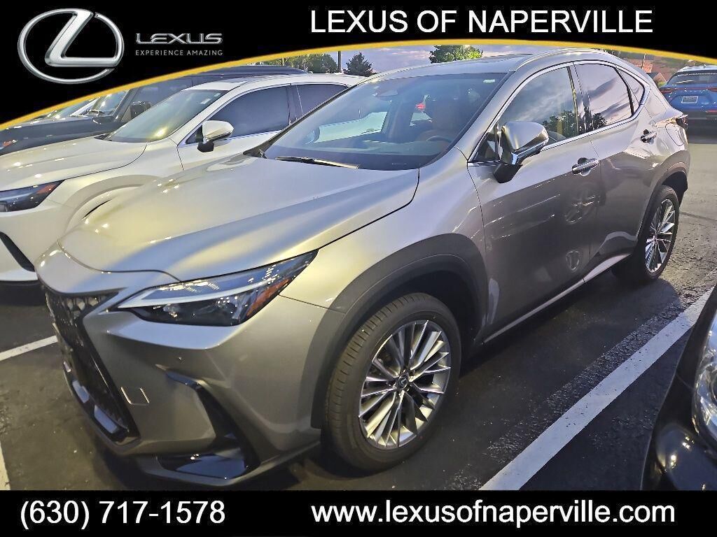 2025 LEXUS NX