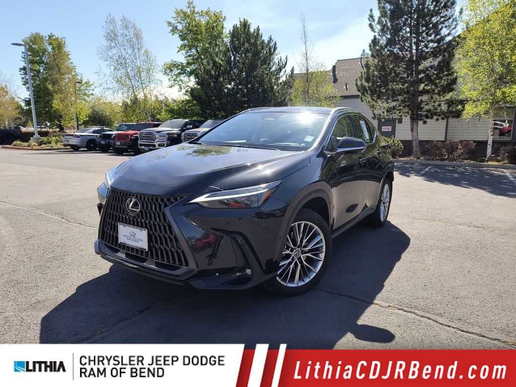 2025 LEXUS NX