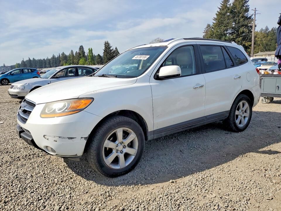 2009 HYUNDAI Santa Fe
