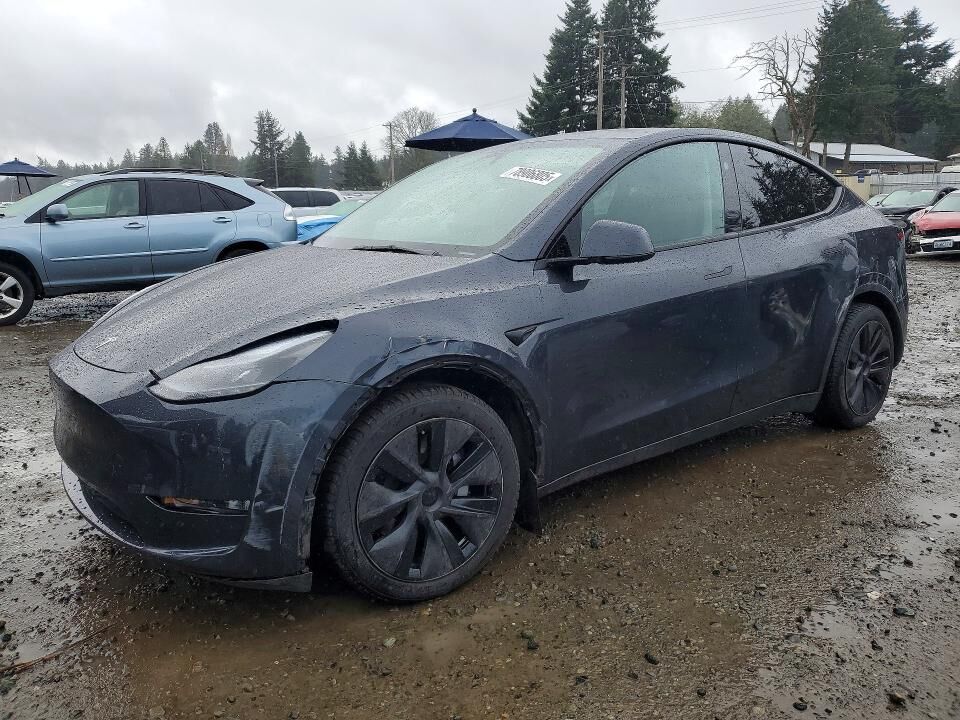 2025 TESLA Model Y