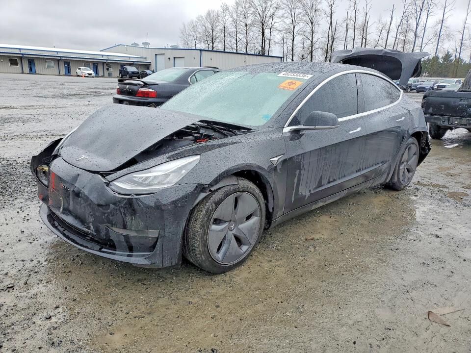 2019 TESLA Model 3