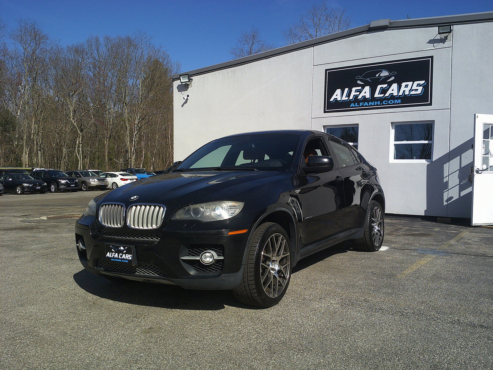 2009 BMW X6