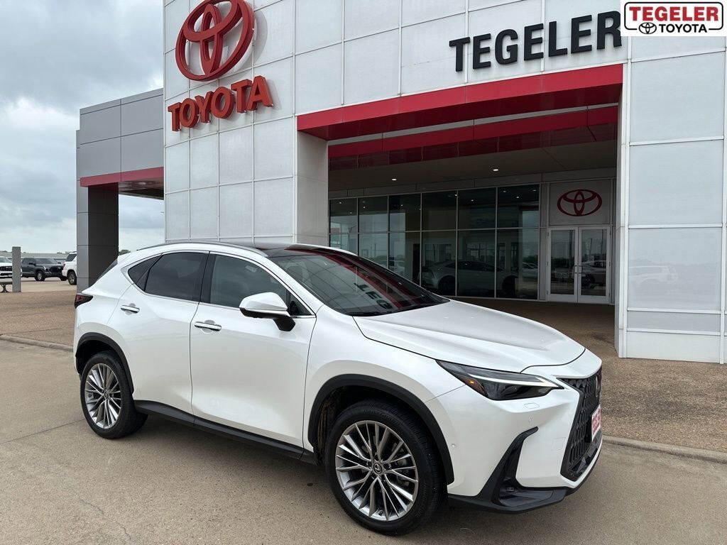 2022 LEXUS NX