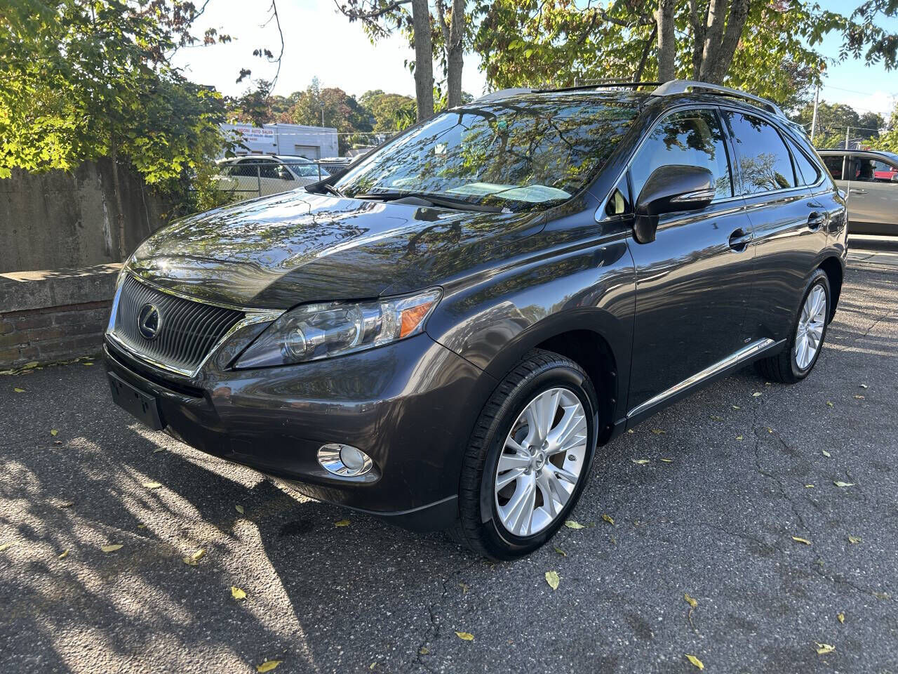 2010 LEXUS RX