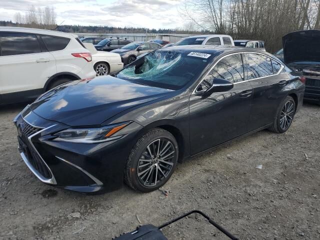 2024 LEXUS ES