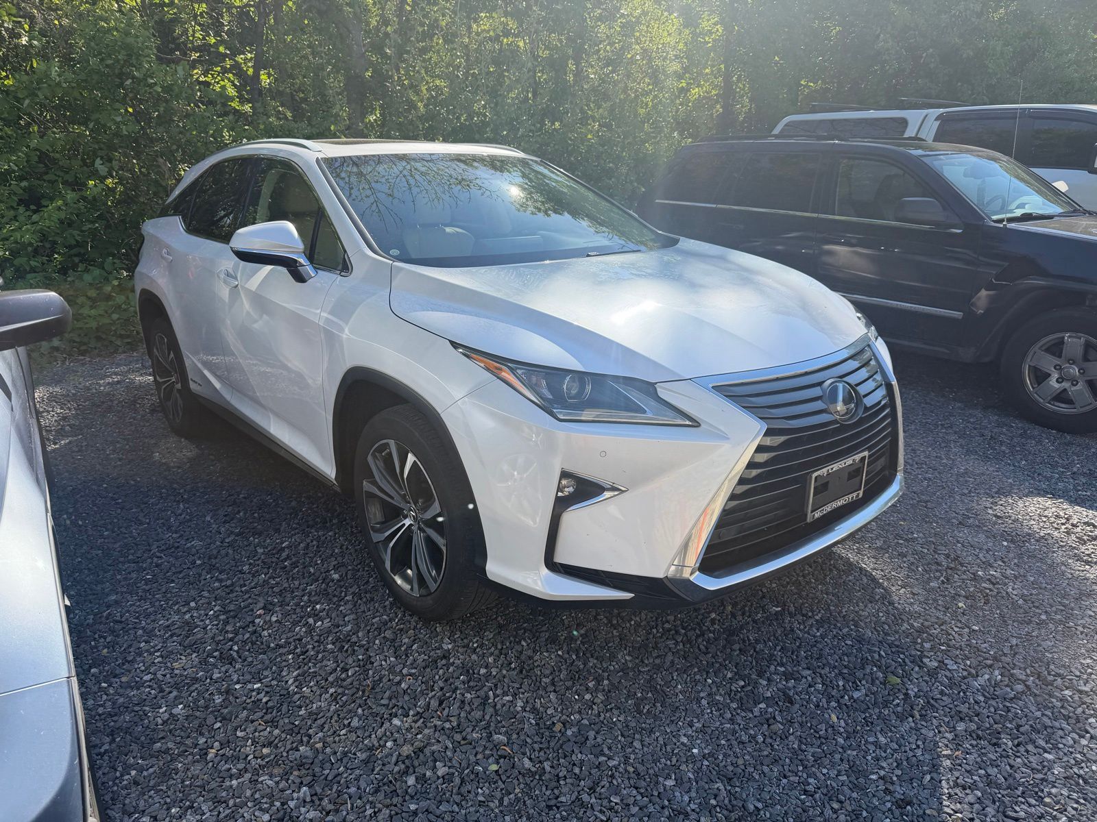 2019 LEXUS RX