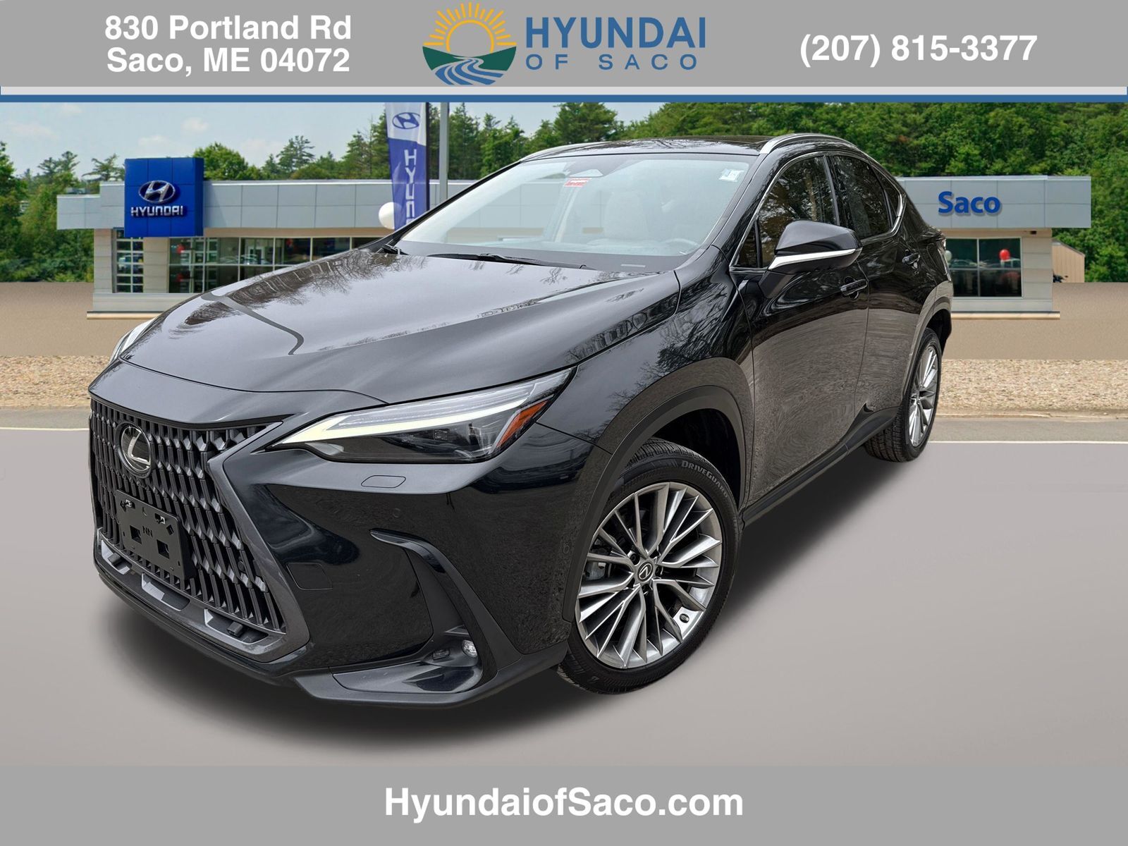 2022 LEXUS NX