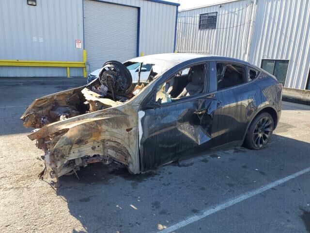 2024 TESLA Model Y