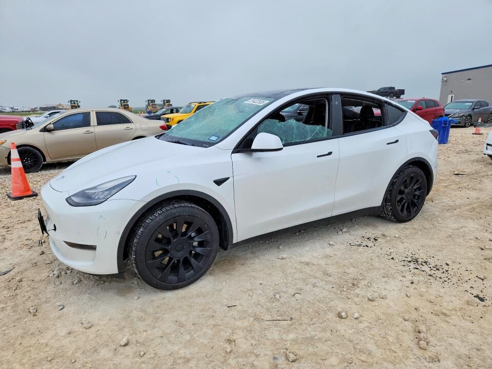 2021 TESLA Model Y