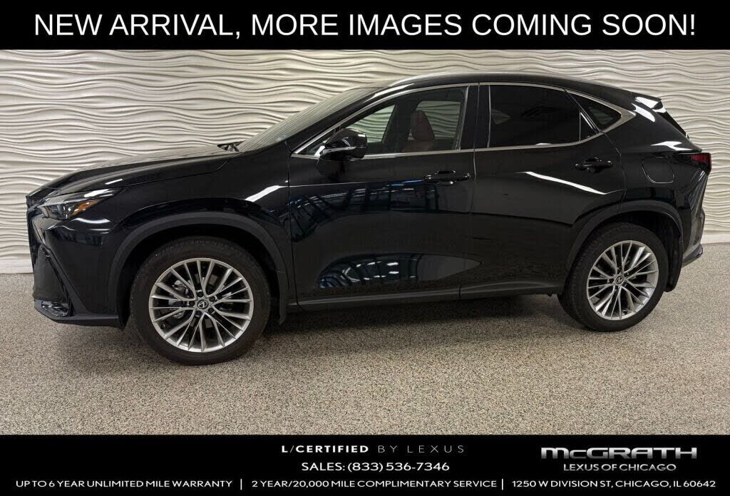 2025 LEXUS NX