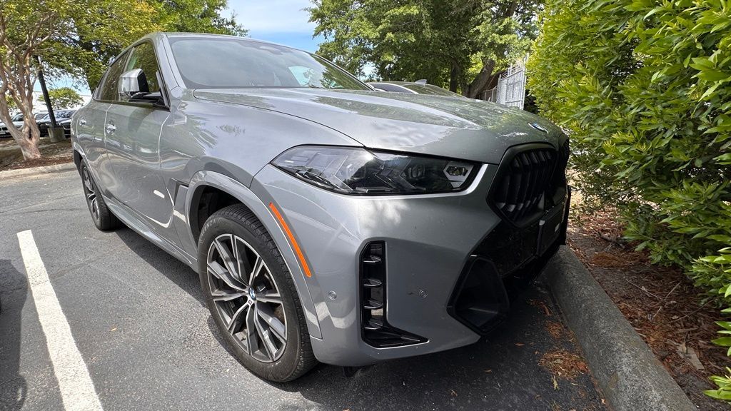 2025 BMW X6