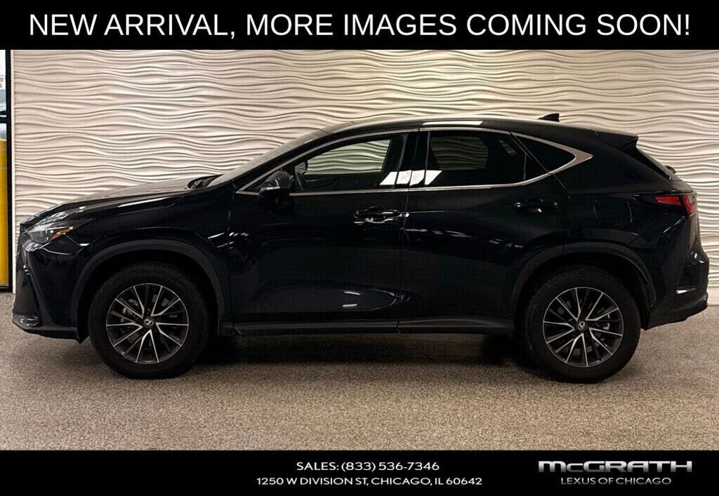 2024 LEXUS NX