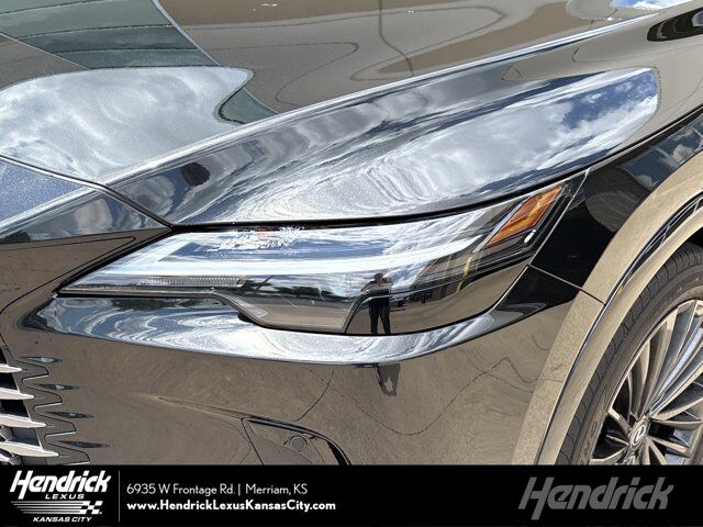 2025 LEXUS RX